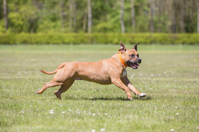 3Y3A7554 26775669026 O