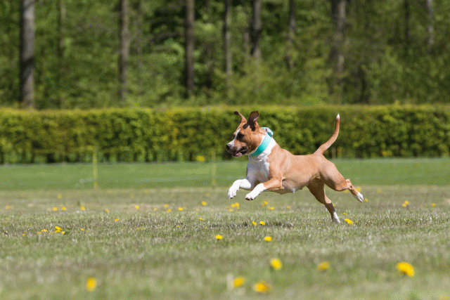 3Y3A7555 26799984655 O