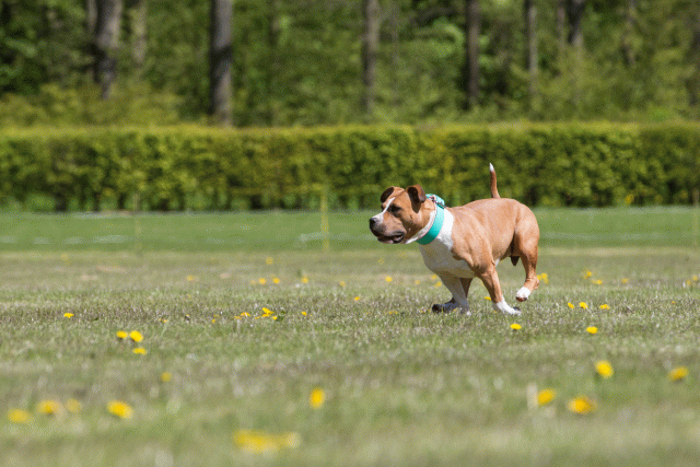 3Y3A7556 26775668186 O