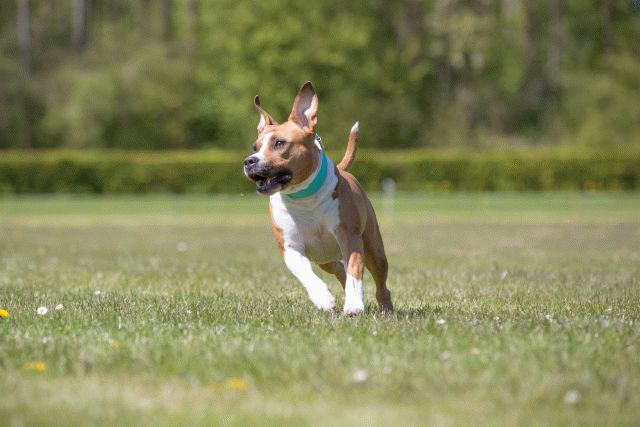 3Y3A7562 26799984375 O