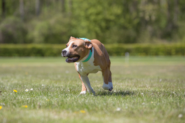 3Y3A7563 26775667706 O