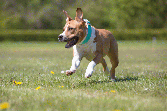 3Y3A7564 26195062104 O