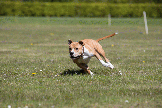 3Y3A7566 26799983715 O