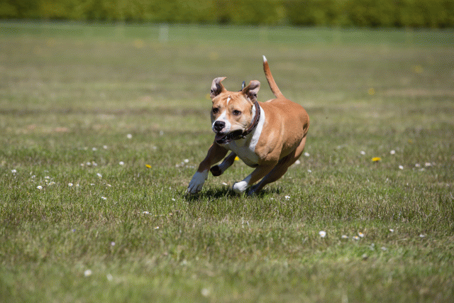 3Y3A7568 26799982895 O