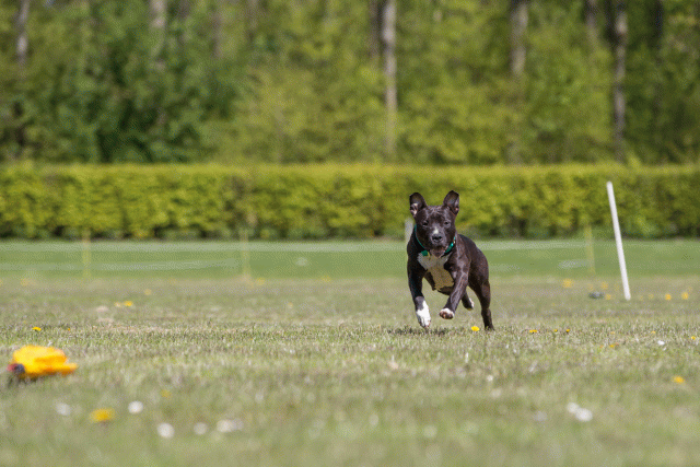 3Y3A7577 26775664816 O