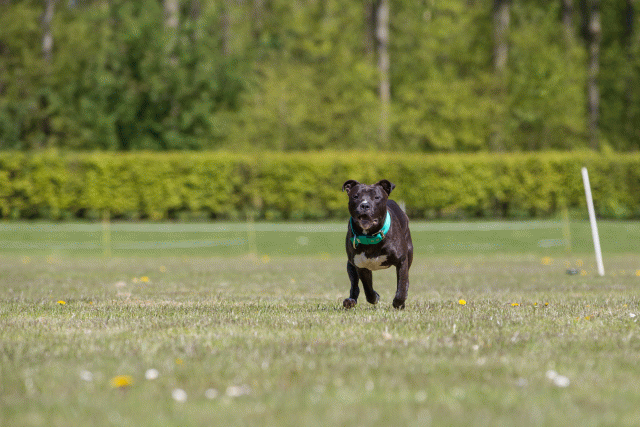 3Y3A7578 26799982235 O