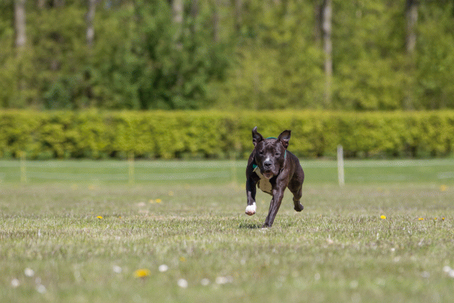 3Y3A7579 26707030922 O