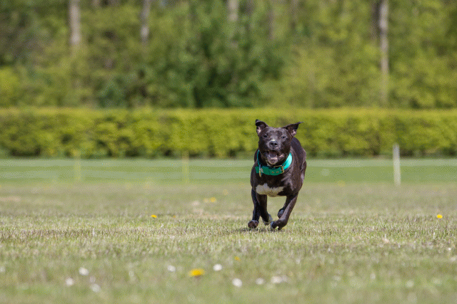 3Y3A7580 26799981695 O