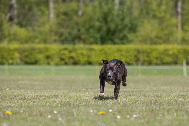 3Y3A7581 26775663506 O