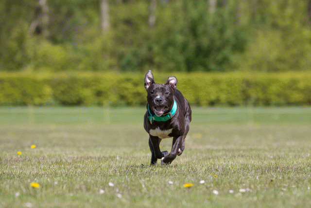 3Y3A7582 26706982812 O