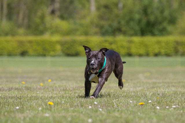 3Y3A7583 26775664956 O