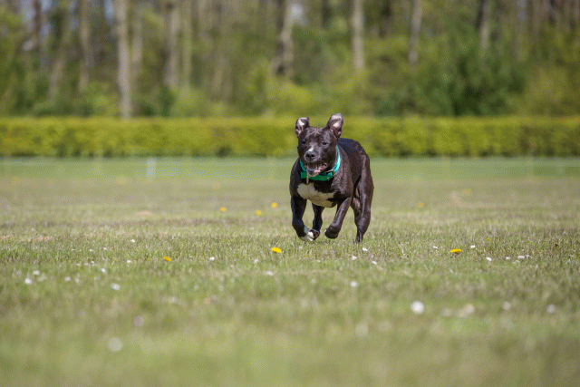 3Y3A7584 26775662946 O