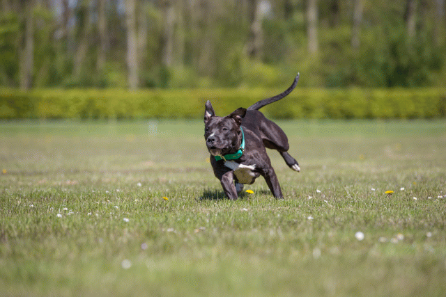 3Y3A7585 26799980325 O