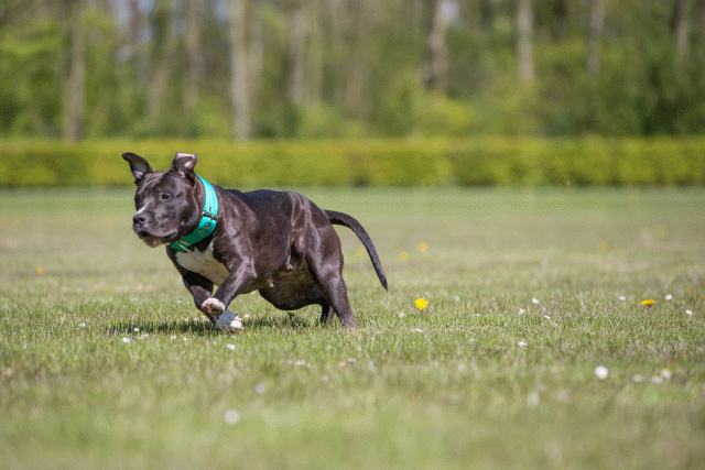 3Y3A7586 26196502103 O