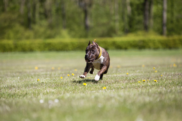 3Y3A7601 26775660426 O