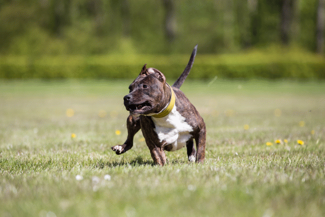 3Y3A7603 26733318501 O