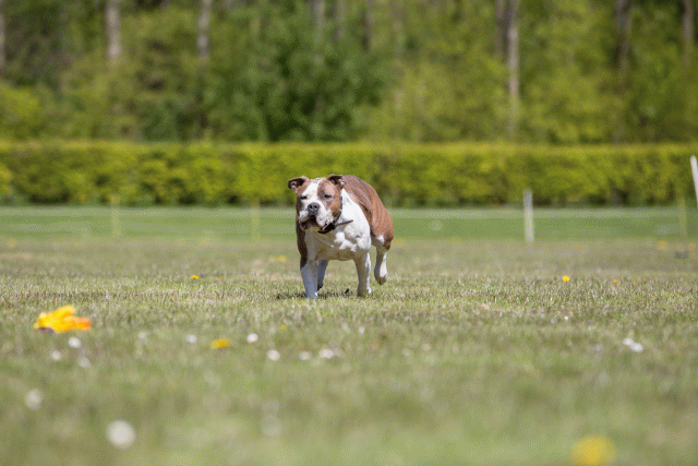 3Y3A7610 26195116284 O