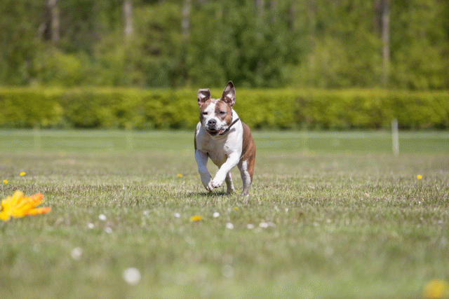 3Y3A7611 26775656566 O