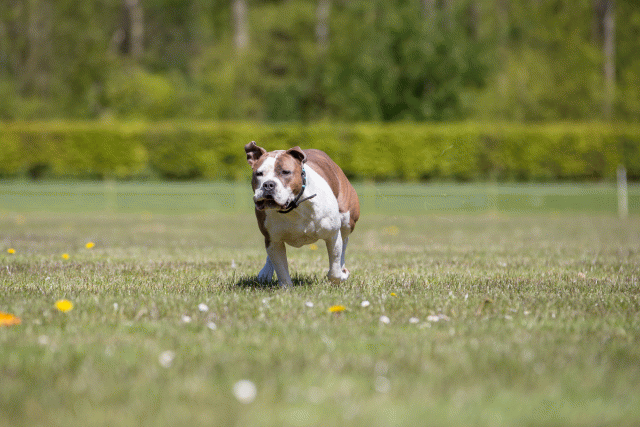 3Y3A7612 26195115464 O