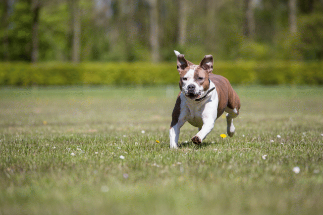 3Y3A7615 26195114954 O