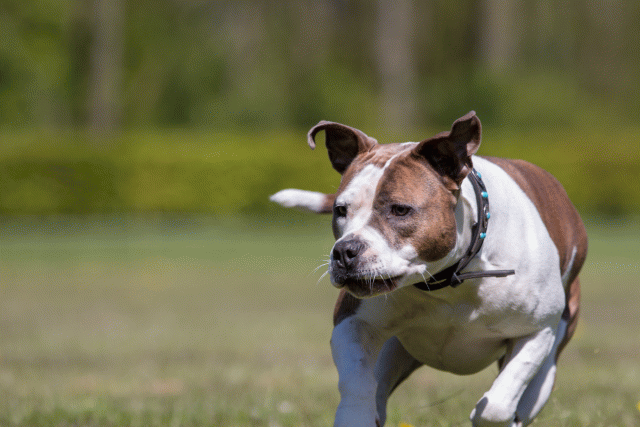 3Y3A7616 26196492793 O