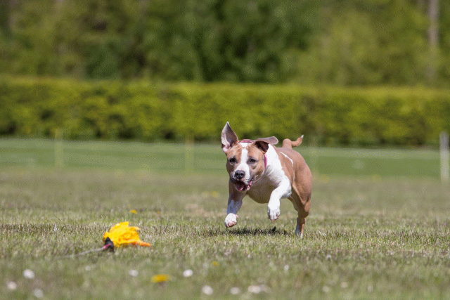 3Y3A7624 26195114354 O