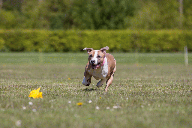 3Y3A7625 26195114234 O