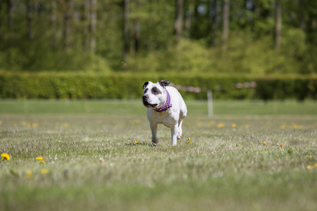 3Y3A7634 26775648116 O