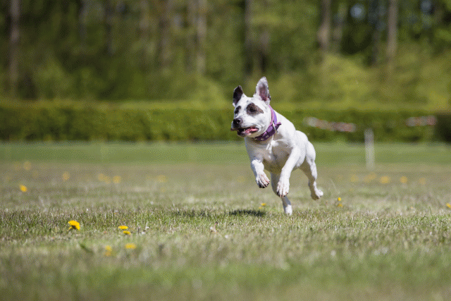 3Y3A7635 26195112054 O