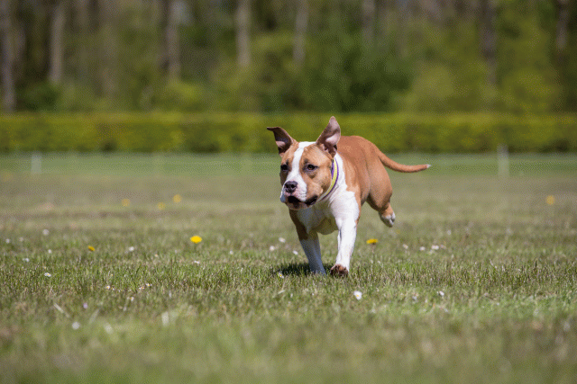 3Y3A7645 26799975115 O