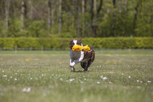 3Y3A7651 26733362421 O