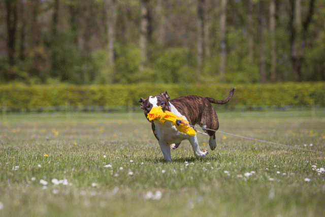 3Y3A7652 26195109014 O