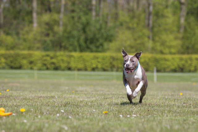 3Y3A7656 26195107814 O