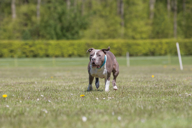 3Y3A7657 26706981372 O