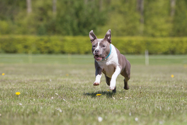 3Y3A7658 26775637676 O