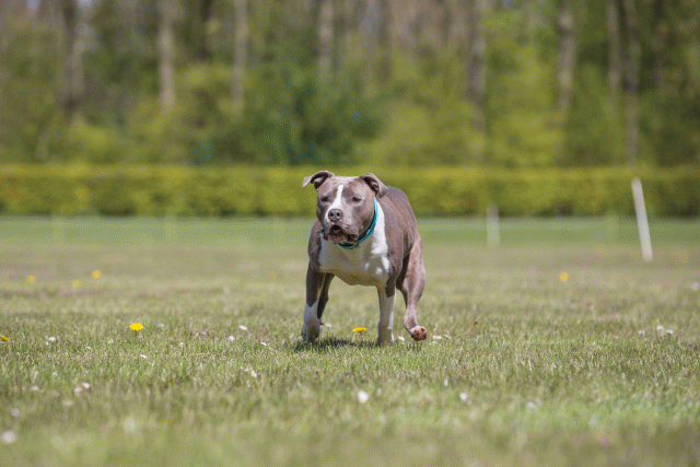 3Y3A7659 26195107304 O