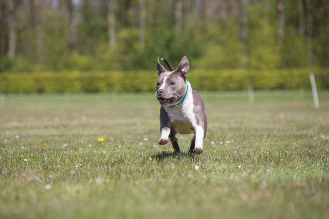 3Y3A7660 26775636496 O