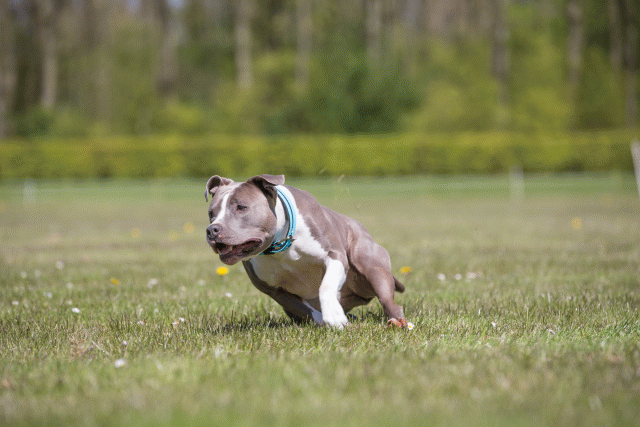 3Y3A7661 26775635256 O