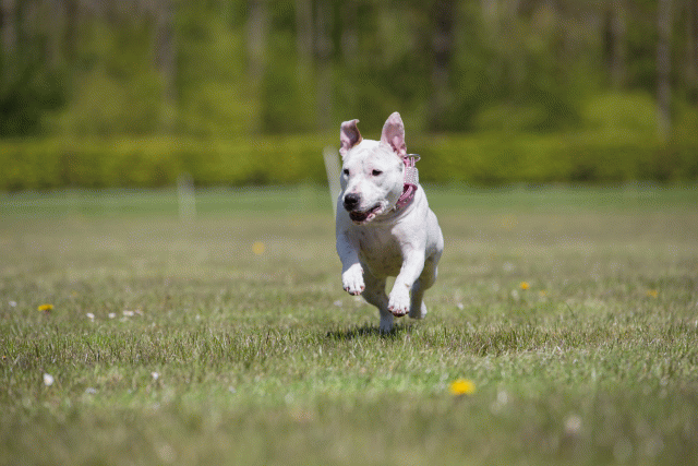 3Y3A7674 26528034000 O