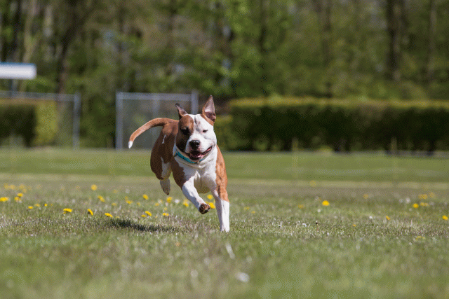 3Y3A7680 26775629966 O