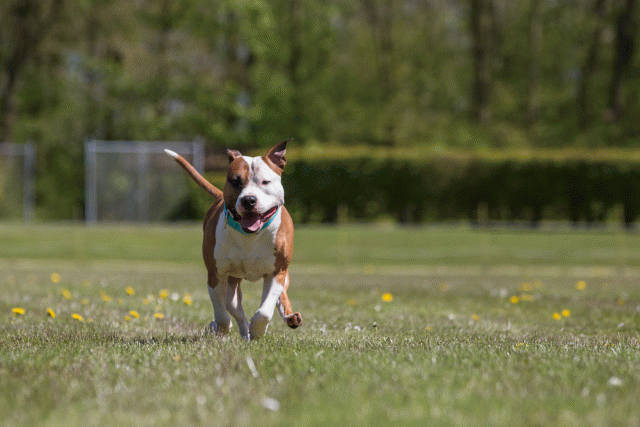 3Y3A7681 26528028630 O