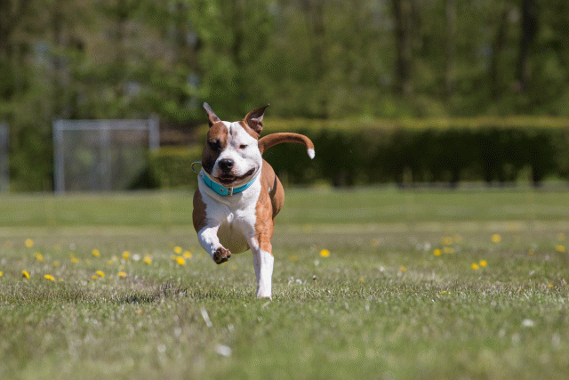 3Y3A7682 26528028320 O