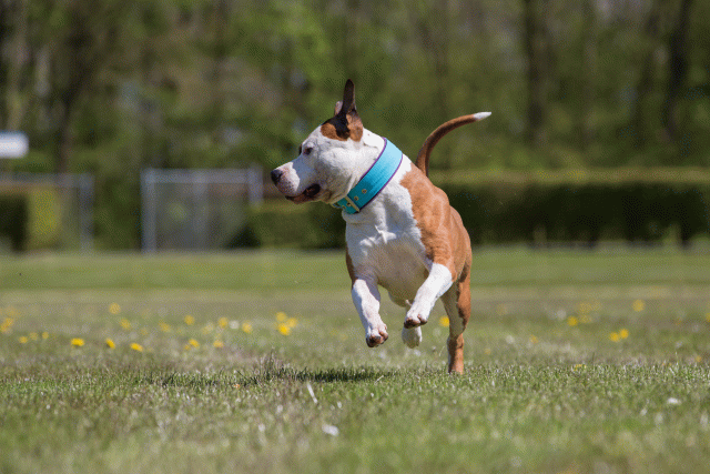 3Y3A7684 26528027430 O