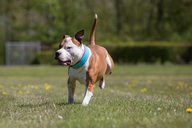 3Y3A7685 26775627286 O