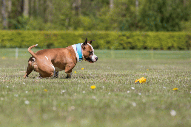 3Y3A7687 26528021910 O