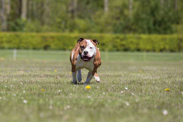 3Y3A7688 26195098004 O