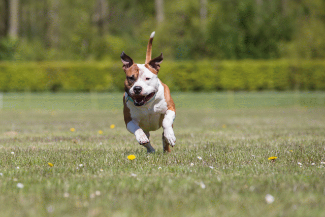 3Y3A7689 26528021300 O