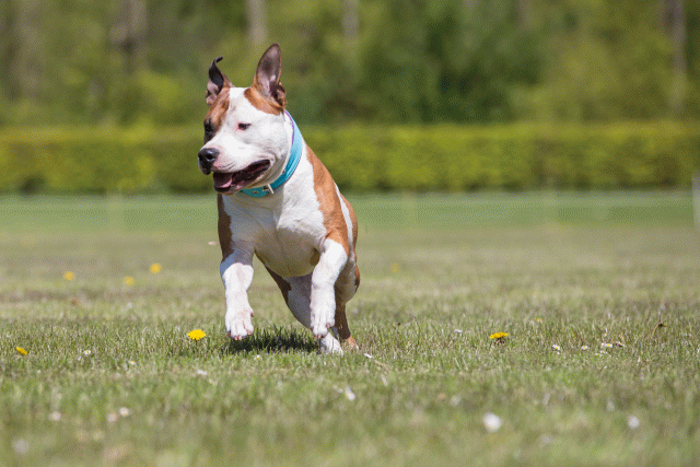 3Y3A7691 26527994030 O