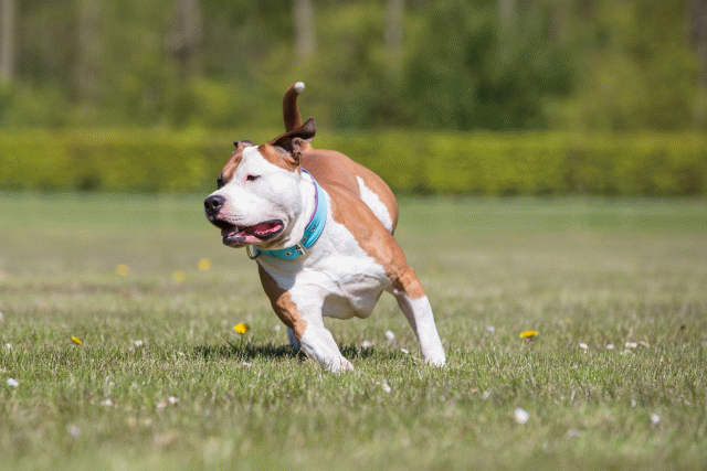 3Y3A7692 26196452683 O