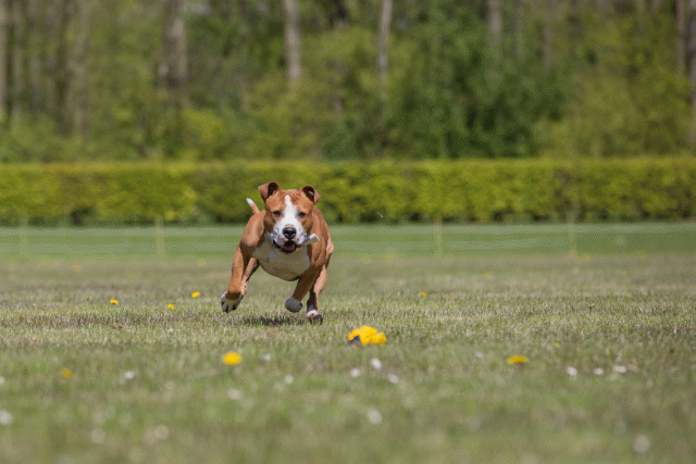 3Y3A7694 26775624656 O